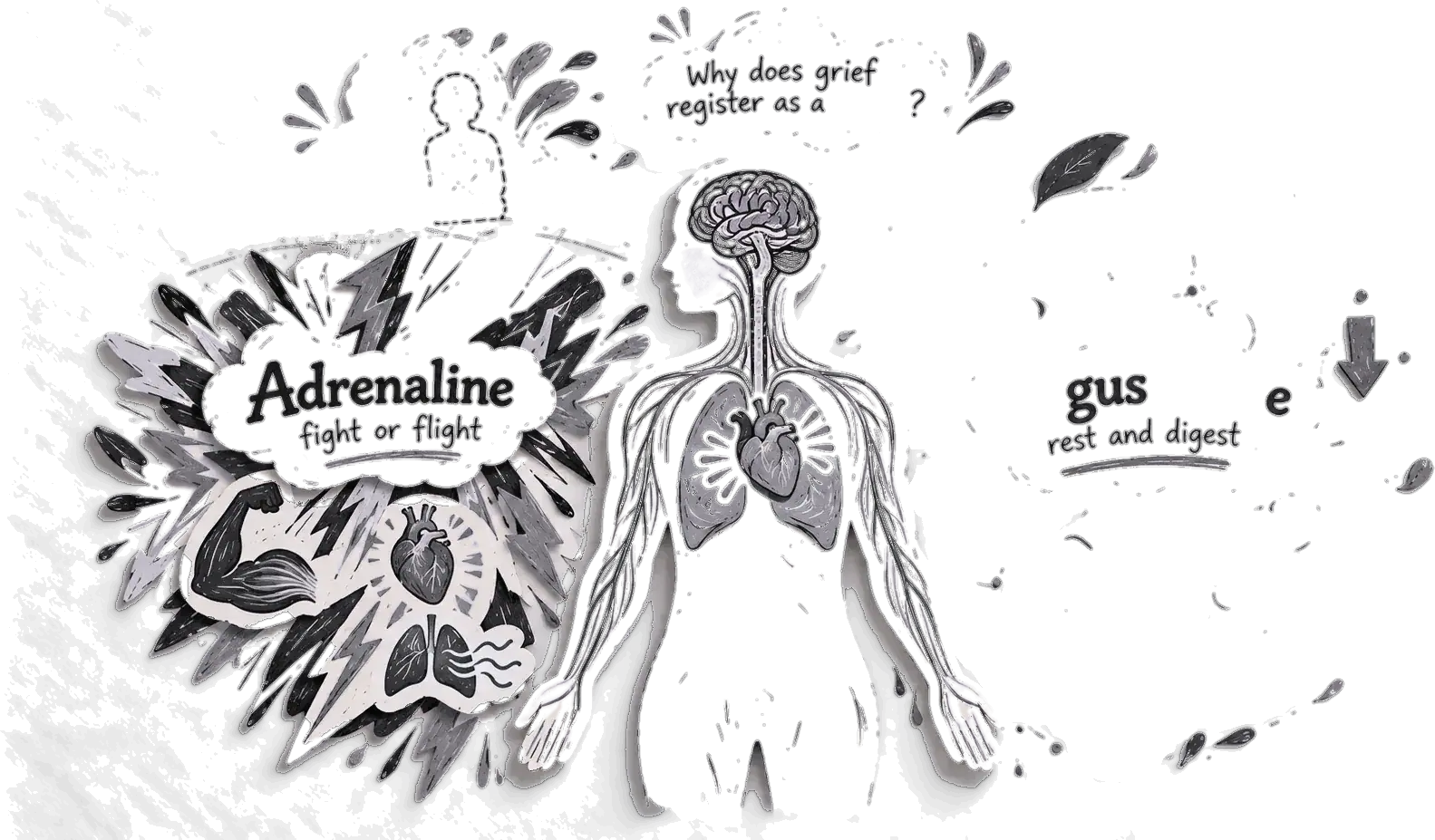A paper-cut nervous system with the heart lit up, flanked by Adrenaline — fight or flight — and Vagus nerve — rest and digest