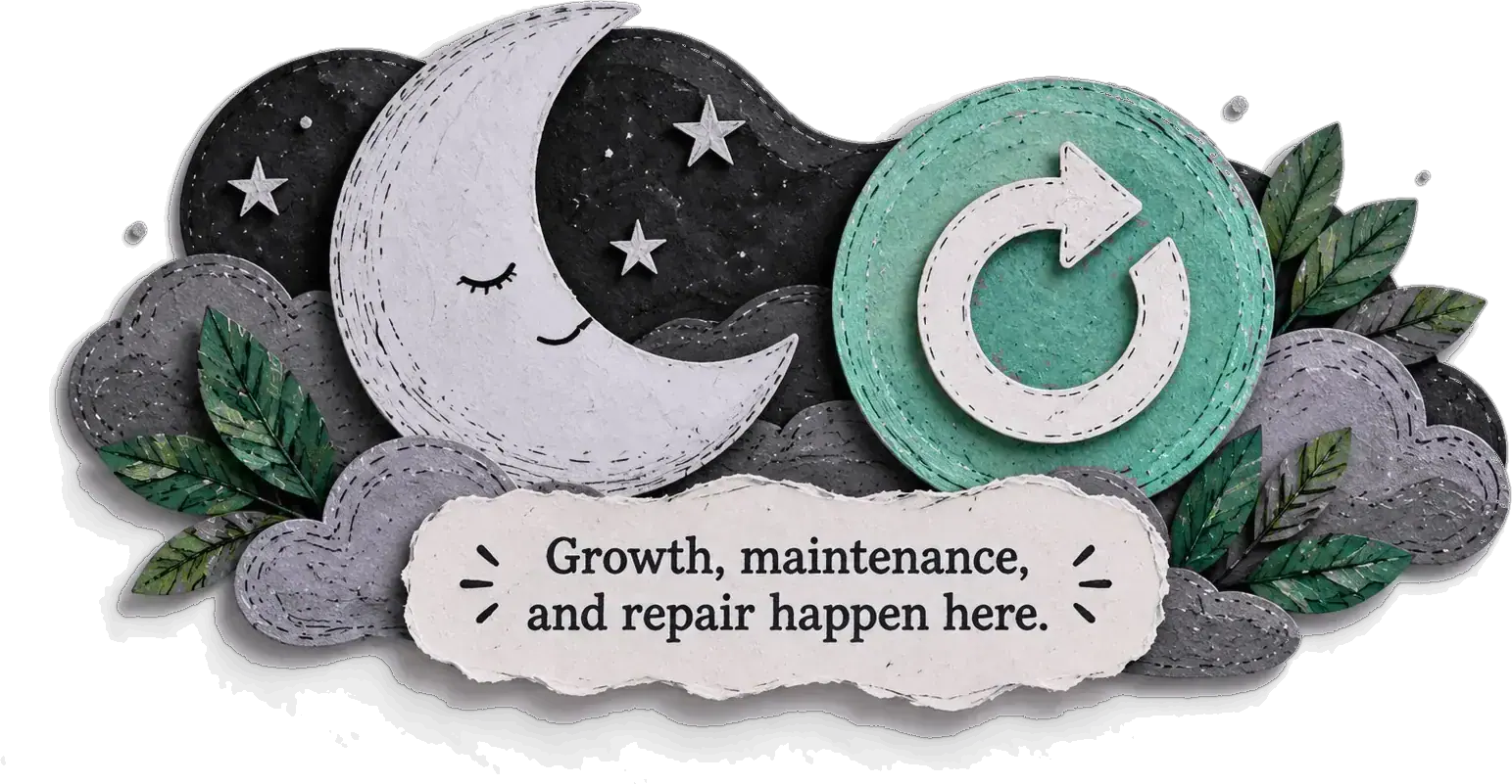A sleeping paper moon beside a refresh symbol: growth, maintenance and repair happen here